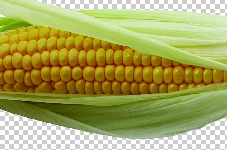 Corn On The Cob Maize Corn Kernel PNG, Clipart, Caryopsis, Cob, Corn, Ear, Encapsulated Postscript Free PNG Download