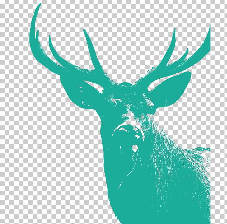 Reindeer Illustration Antler Silhouette PNG, Clipart, Antler, Black And White, Deer, Grass, Green Free PNG Download