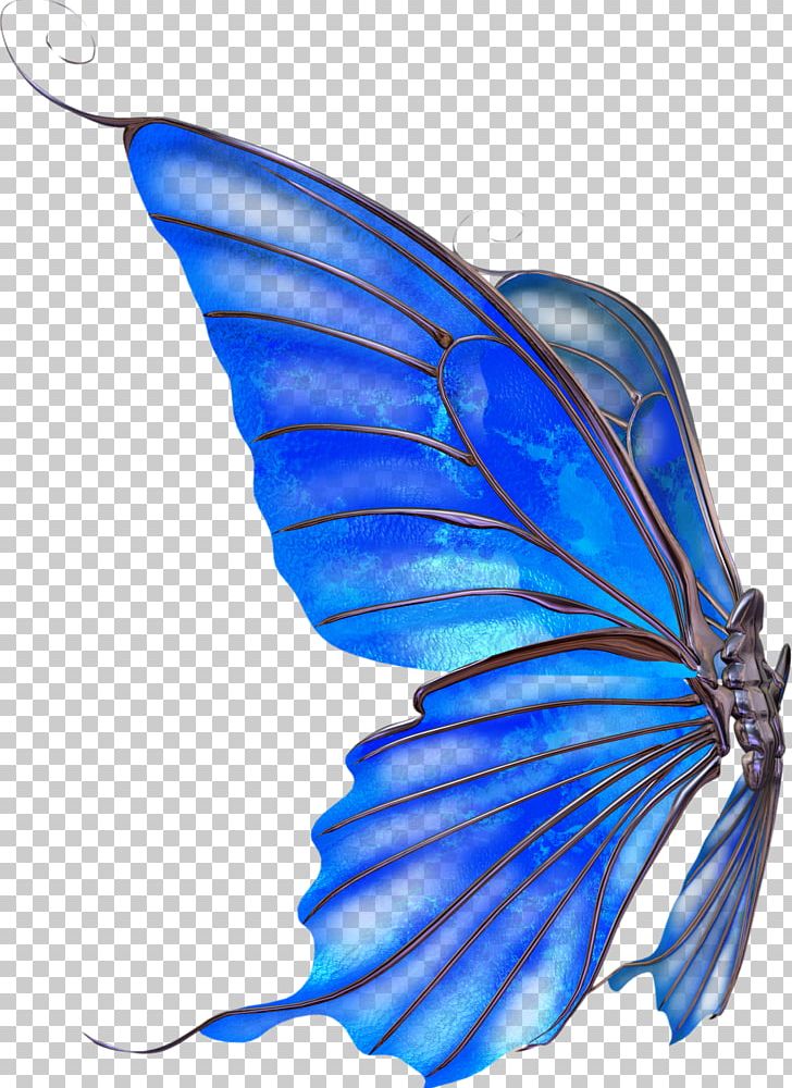 Butterfly Drawing PNG, Clipart, Blue Butterfly, Brush Footed Butterfly, Butt, Butterflies, Butterflies And Moths Free PNG Download