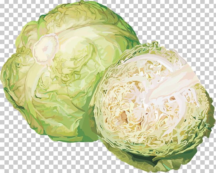 Savoy Cabbage Portable Network Graphics Cauliflower Vegetable PNG, Clipart, Broccoli, Brussels Sprouts, Cabbage, Cauliflower, Cruciferous Vegetables Free PNG Download