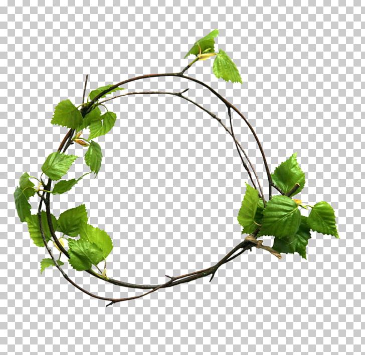 Twig Leaf PNG, Clipart, Branch, Gardener, Leaf, Lily, Plant Free PNG Download