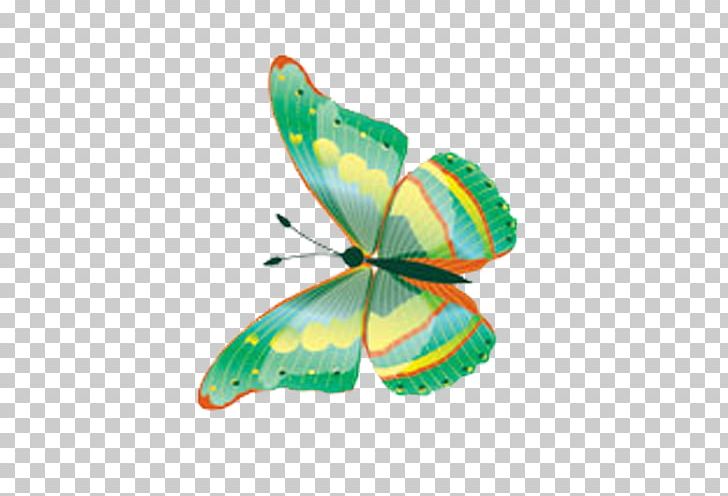 Butterfly Green PNG, Clipart, Animal, Animation, Blue Butterfly, Butterflies, Butterfly Free PNG Download