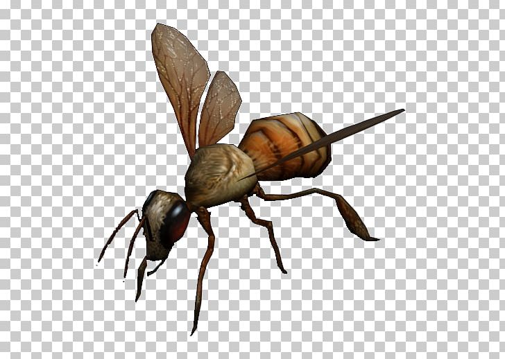 Fallout 3 Fallout: New Vegas Fallout 4 Van Buren Insect PNG, Clipart, Animals, Ant, Arthropod, Asian Giant Hornet, Bee Free PNG Download