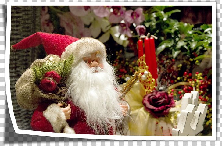 Santa Claus Viterbo Coca-Cola NORAD Tracks Santa Christmas PNG, Clipart, Cartoon Santa Claus, Child, Christ, Christmas Decoration, Family Free PNG Download