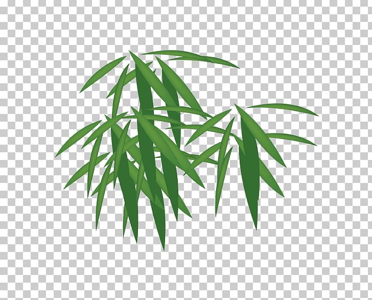 Bamboo PNG, Clipart, Background Green, Bamboo, Client, Computer Icons, Encapsulated Postscript Free PNG Download