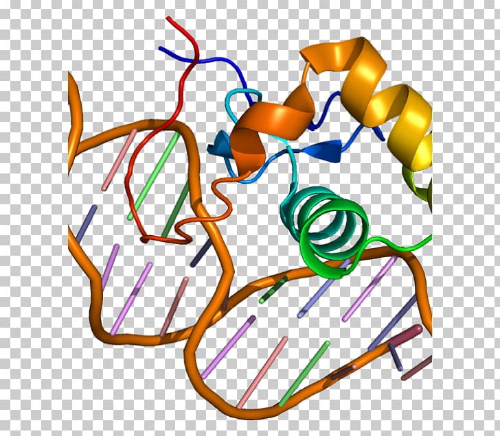 Estrogen-related Receptor Alpha Estrogen Receptor Alpha Nuclear Receptor PNG, Clipart, Area, Artwork, Coactivator, Dnabinding Domain, Estradiol Free PNG Download