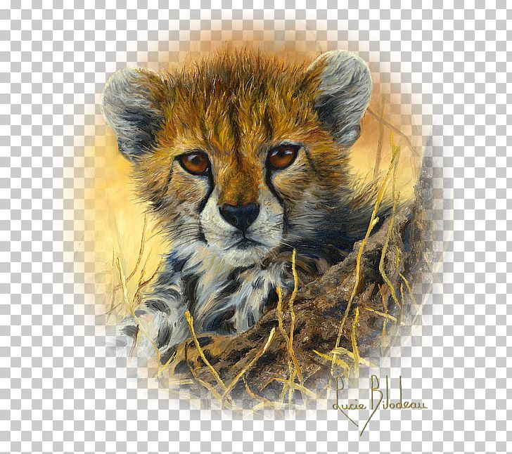 Leopard South African Cheetah T-shirt Painting Art PNG, Clipart, Animal Print, Animals, Art, Big Cats, Canvas Free PNG Download