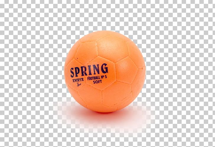 Medicine Balls Boxing Urinary Bladder Sporting Goods PNG, Clipart, Bag, Ball, Boxing, Everlast, Exercise Free PNG Download