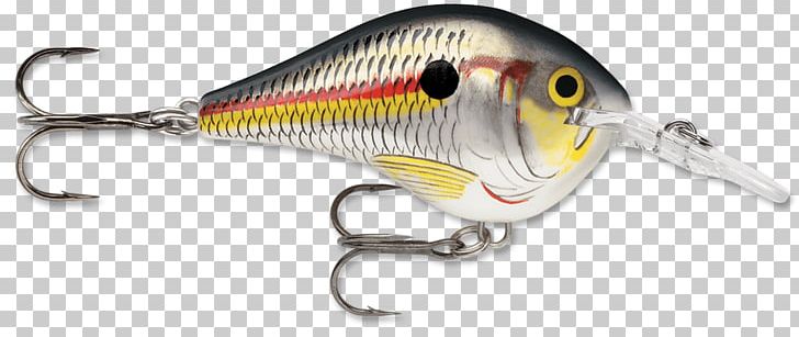 Plug Northern Pike Rapala Fishing Baits & Lures PNG, Clipart, Angling, Bait, Body Jewelry, Fish, Fish Hook Free PNG Download