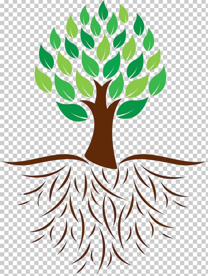 Root Tree PNG, Clipart, Artwork, Branch, Clip Art, Colour, Download Free PNG Download