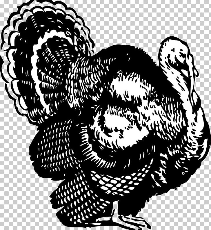 Black Turkey Black And White Thanksgiving PNG, Clipart, Art, Beak, Bird, Black And White, Black Turkey Free PNG Download