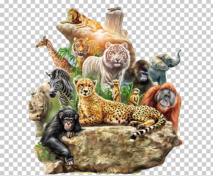 Dog Tiger Lion Animal Forest PNG, Clipart, Animal, Baboons, Big Cats, Carnivoran, Cat Like Mammal Free PNG Download