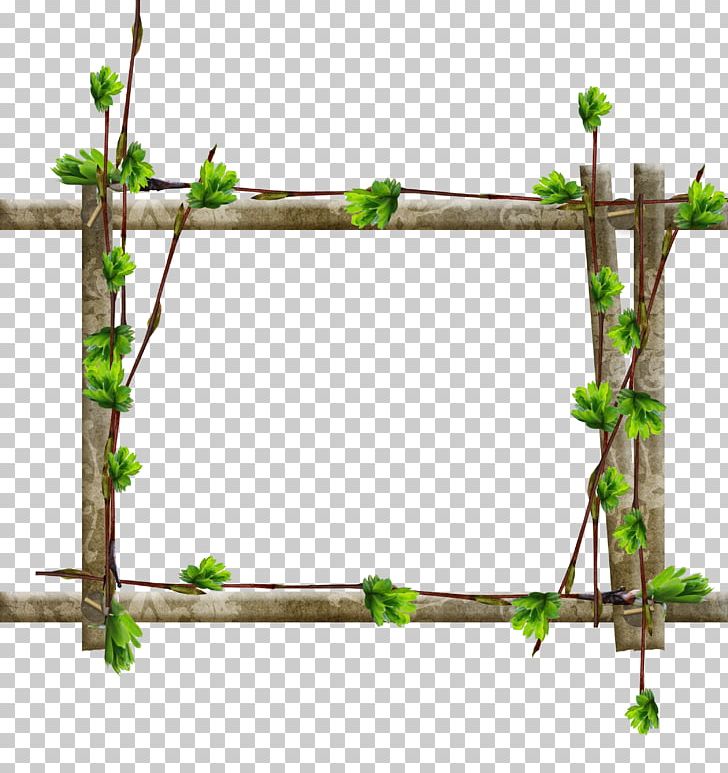 Frames Tree Window Wood Branch PNG, Clipart, Branch, Cute, Film Frame, Flower, Flowering Plant Free PNG Download