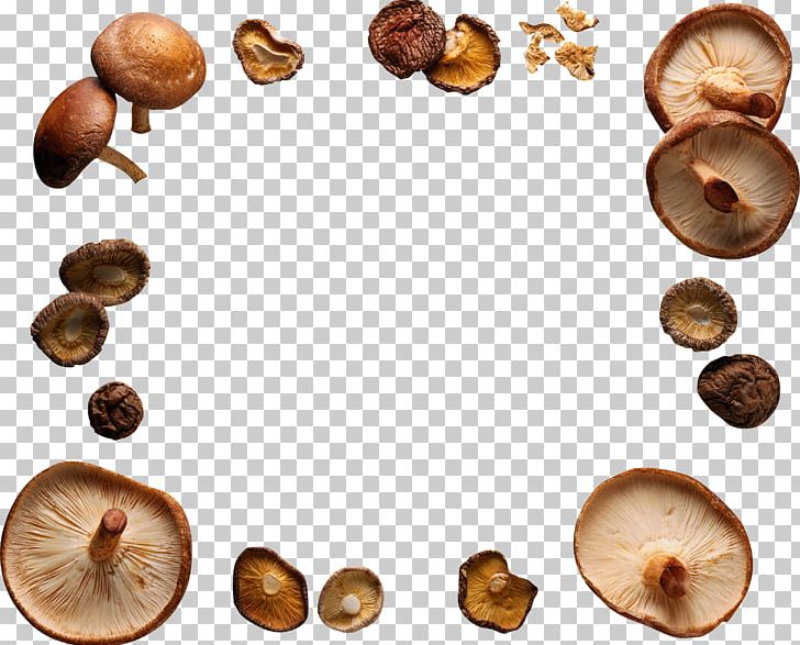 Shiitake Edible Mushroom Food PNG, Clipart, Edible Mushroom, Food, Fungus, Hazelnut, Health Free PNG Download