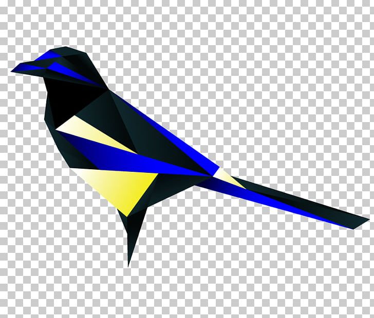 Bird Australian Magpie A Tiding Of Magpies The Forgotten Grimoire PNG, Clipart,  Free PNG Download