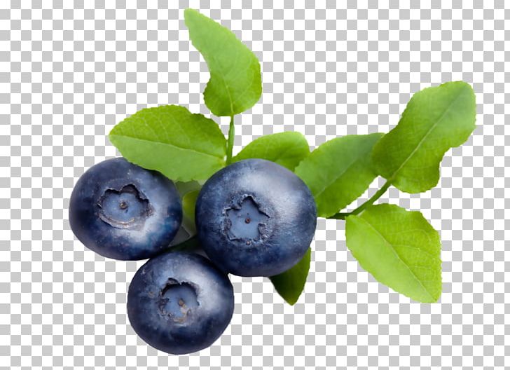 Blueberry Bilberry Lingonberry Varenye Huckleberry PNG, Clipart, Aristotelia Chilensis, Aronia, Berry, Bilberry, Blueberry Free PNG Download