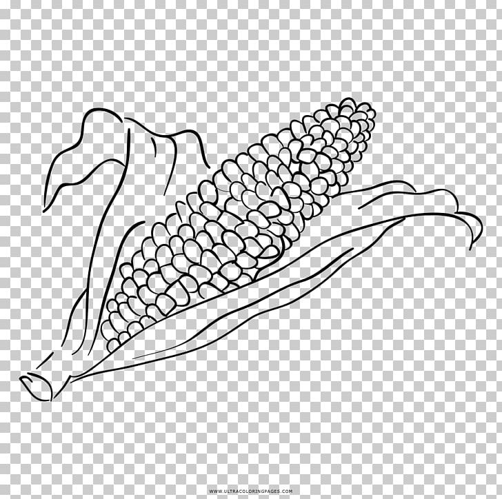 Coloring Book Drawing Black And White Line Art PNG, Clipart, Area, Art, Artwork, Ausmalbild, Beak Free PNG Download