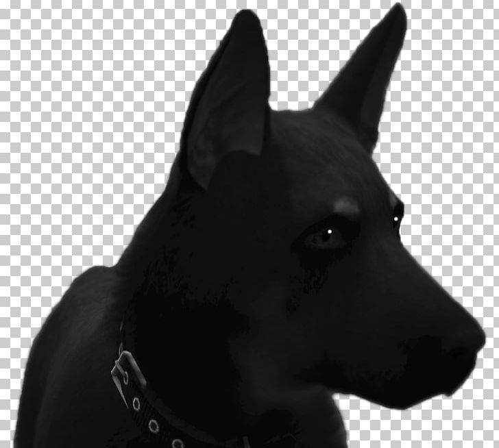 Dog Breed Schipperke Australian Kelpie Whiskers Snout PNG, Clipart, Australia, Australian Kelpie, Australians, Black And White, Breed Free PNG Download