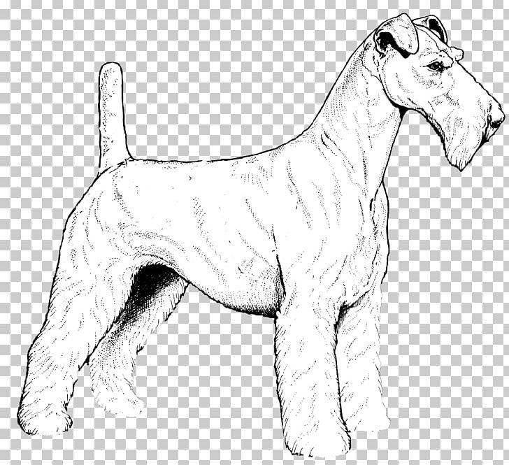 Airedale Terrier Wire Hair Fox Terrier Boston Terrier Puppy Yorkshire Terrier PNG, Clipart, Animals, Artwork, Black And White, Boston Terrier, Boxer Free PNG Download