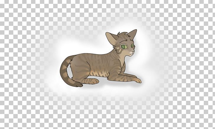 Cat Dog Canidae Tail Mammal PNG, Clipart, Animals, Canidae, Carnivoran, Cat, Cat Like Mammal Free PNG Download