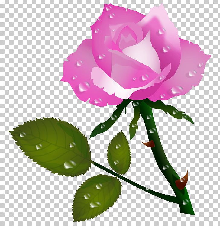 Rose Flower Red PNG, Clipart, Color, Cut Flowers, Flower, Flowering Plant, Flowers Free PNG Download