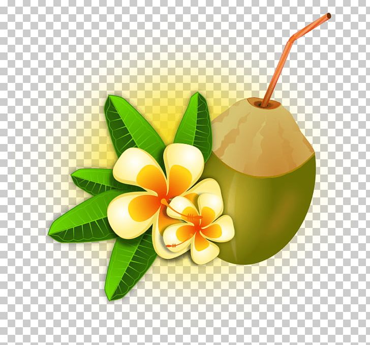 Coconut Water Tropics PNG, Clipart, Coconut Water, Computer Icons, Desktop Wallpaper, Document, Drink Free PNG Download