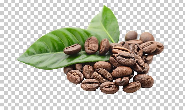 Coffee Espresso Tea Latte Cafe PNG, Clipart, Arab, Bean, Beans, Brewed Coffee, Cocoa Bean Free PNG Download