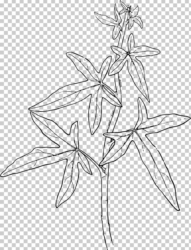 Ivy Plant Vine PNG, Clipart, Art, Artwork, Black And White, Branch, Coloring Pages Free PNG Download