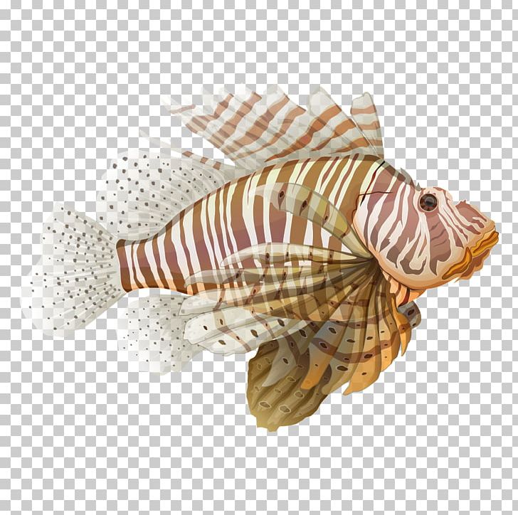 Red Lionfish Spotfin Lionfish Illustration PNG, Clipart, Aquarium Fish, Cartoon, Conchology, Drawing, Fish Free PNG Download