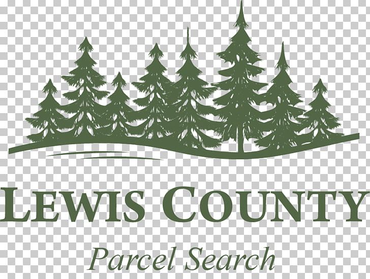Centralia Lewis County Public Works Department Fir Court PNG, Clipart, Brand, Centralia, Chehalis, Christmas Decoration, Christmas Ornament Free PNG Download