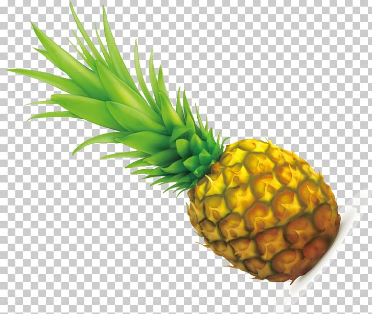 Pineapple PNG, Clipart, Ananas, Background Green, Bromeliaceae, Color, Food Free PNG Download