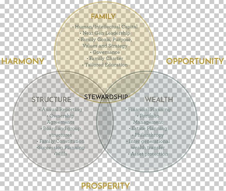 Stewardship Succession Planning Wealth Management Governance Framework PNG, Clipart, Education, Family, Governance, Governance Framework, Human Capital Free PNG Download
