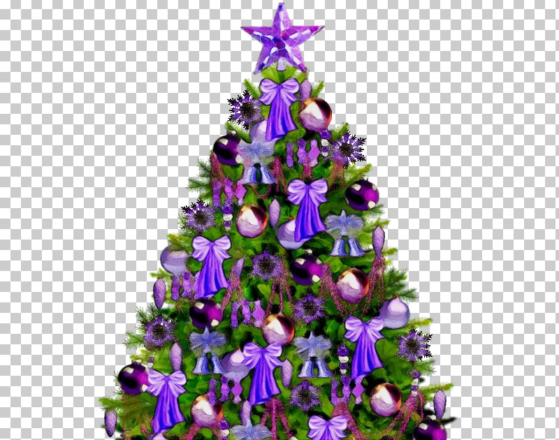 Christmas Tree PNG, Clipart, Bellflower Family, Bellflowers, Biology, Christmas Day, Christmas Decoration Free PNG Download