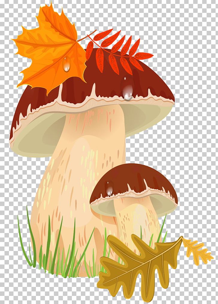 Edible Mushroom Autumn Fungus PNG, Clipart, Autumn, Boletus Edulis, Computer Icons, Edible Mushroom, Flower Free PNG Download