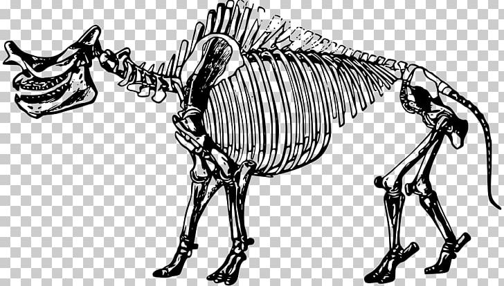 Fossil Fuel Worksheet Skeleton Petrifaction PNG, Clipart, Ammonites, Animal Figure, Bones, Carnivoran, Dog Like Mammal Free PNG Download