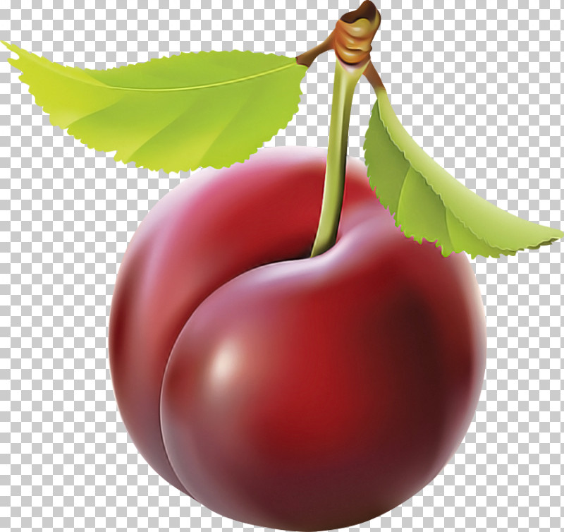 Cherry Fruit European Plum Plant Leaf PNG, Clipart, Cherry, Drupe, European Plum, Flower, Food Free PNG Download