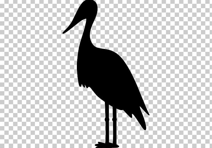 Crane White Stork Computer Icons PNG, Clipart, Animal, Beak, Bird, Bird Crane Beak, Black And White Free PNG Download