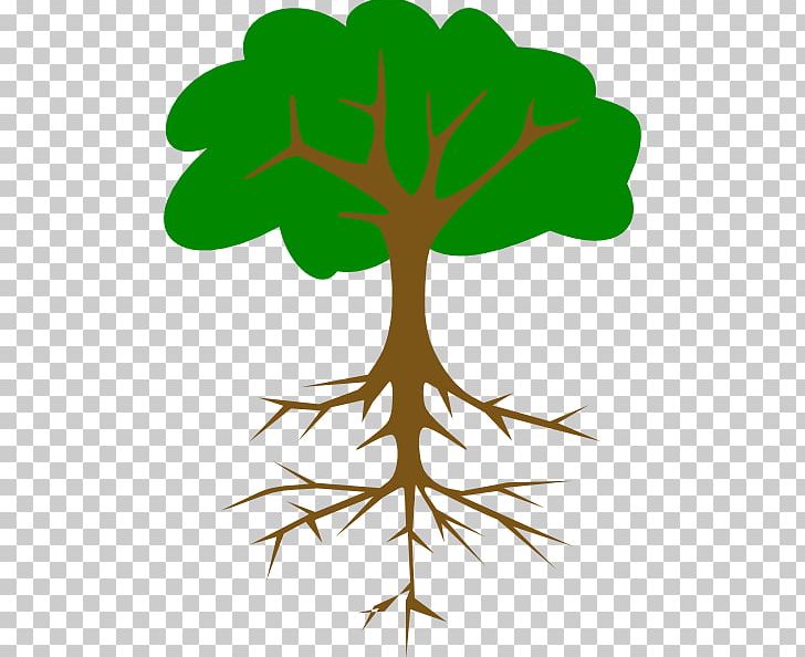 Tree Branch Root PNG, Clipart, Branch, Christmas Tree, Clip, Computer Icons, Desktop Wallpaper Free PNG Download