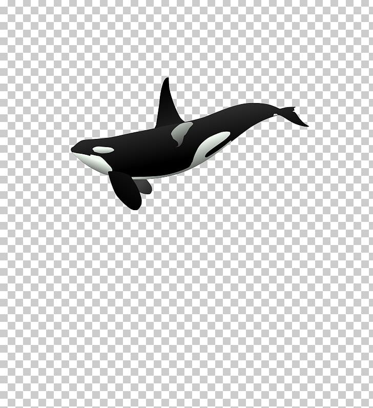 Arctic Polar Bear Killer Whale Cetacea PNG, Clipart, Animal, Animals, Arctic, Cartoon Whale Png, Cetacea Free PNG Download