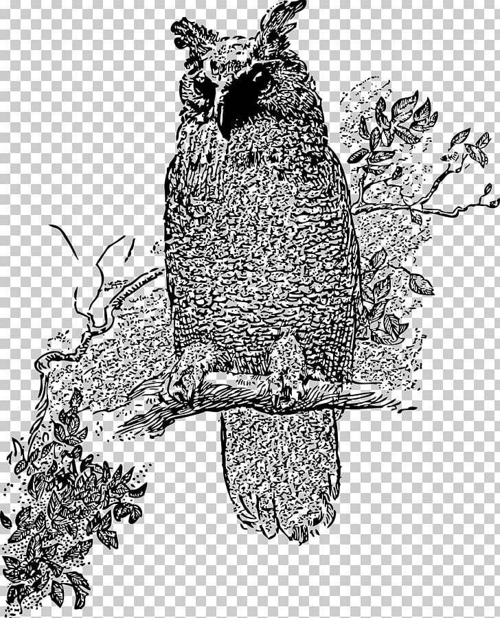 Owl Drawing PNG, Clipart, Animals, Art, Barred Owl, Beak, Bird Free PNG Download