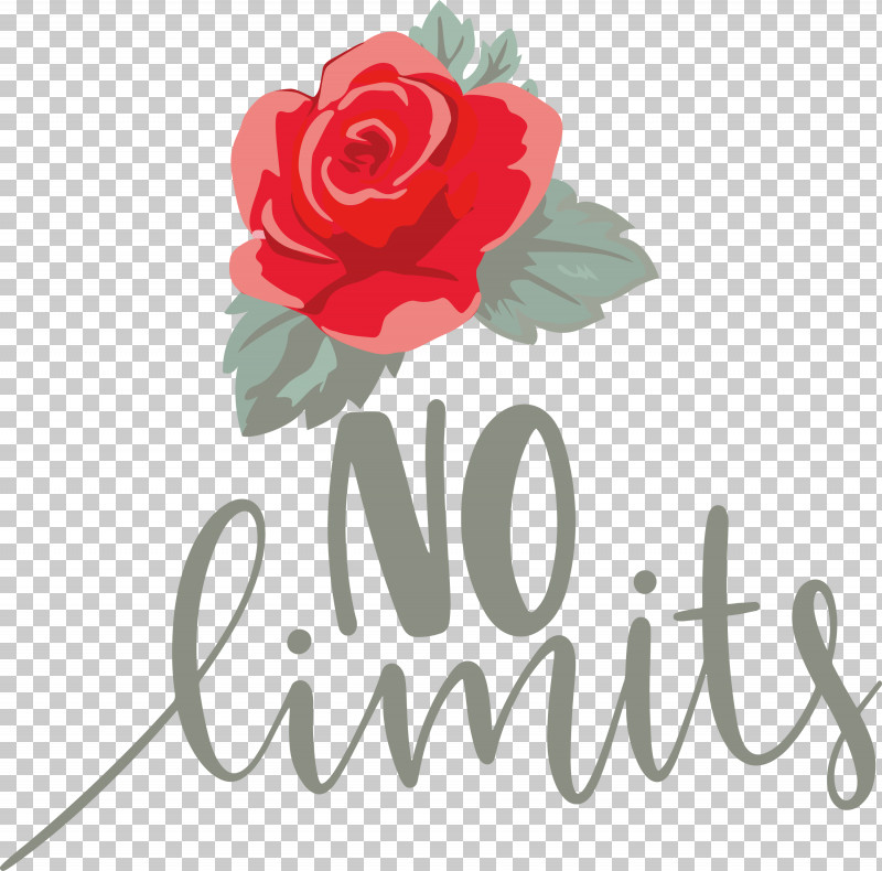 No Limits Dream Future PNG, Clipart, Cabbage Rose, Cut Flowers, Dream, Floral Design, Flower Free PNG Download