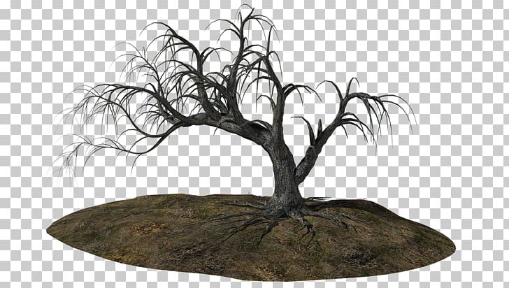 Freiw. Feuerwehr Ungerbach Tree Acidosis Photography Therapy PNG, Clipart, Acidosis, Angel Oak, Branch, Breathing, Diet Free PNG Download
