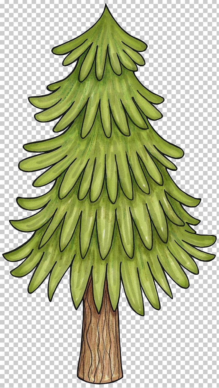 Madrean Pine-oak Woodlands Tree PNG, Clipart, Branch, Campfire, Christmas Decoration, Christmas Ornament, Christmas Tree Free PNG Download