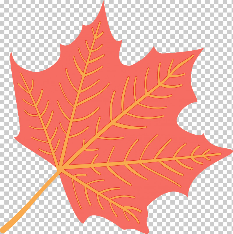 Maple Leaf PNG, Clipart, Autumn Leaf, Biology, Colorful Leaf, Colorful Leaves, Colourful Foliage Free PNG Download