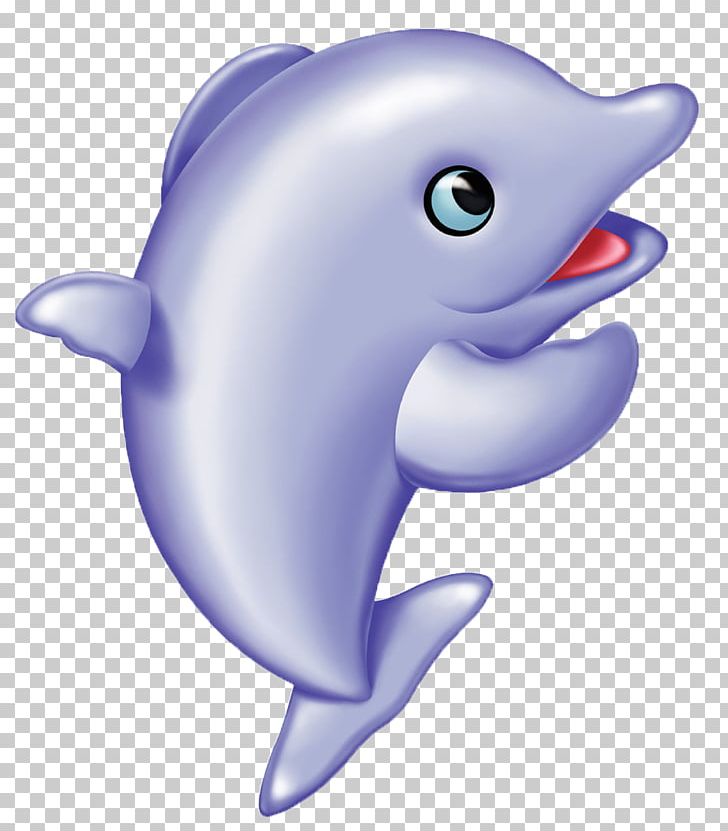 Dolphin Avatar Cuteness PNG, Clipart, Animal, Animals, Cartoon, Child, Love Free PNG Download