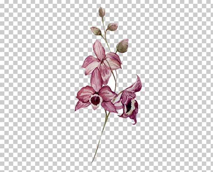Drawing Watercolor Painting Botanical Illustration Flower PNG, Clipart, Art, Avatan, Avatan Plus, Botany, Color Free PNG Download