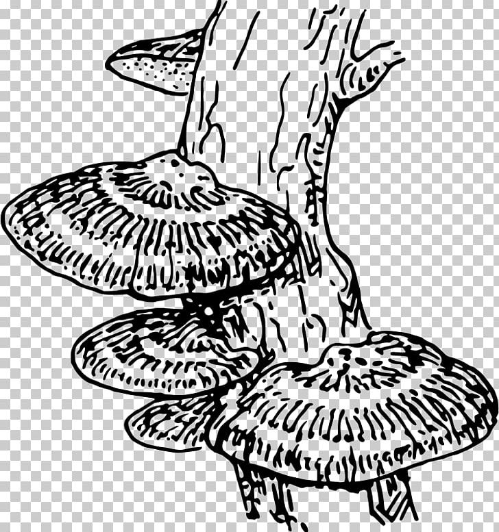Fungus Drawing Coloring Book PNG, Clipart, Art, Artwork, Black And White, Coloring Book, Drawing Free PNG Download