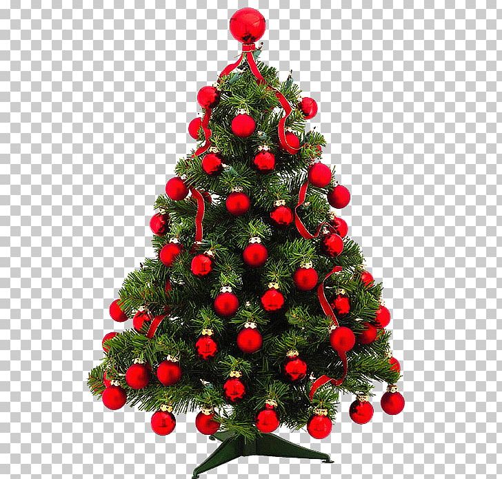 Christmas Tree Pine Christmas Ornament Fir PNG, Clipart, Christmas, Christmas Decoration, Christmas Ornament, Christmas Tree, Color Free PNG Download