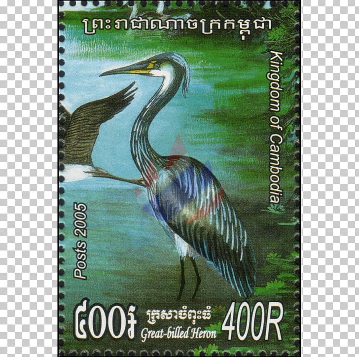 Heron Ecosystem Crane Flora Fauna PNG, Clipart, Address, Advertising, Beak, Bird, Crane Free PNG Download