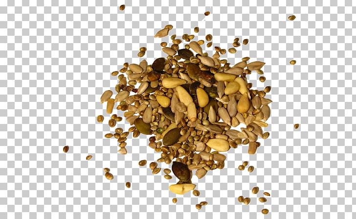 Seed Company Poppy Seed Agriculture Agribusiness PNG, Clipart, Agribusiness, Agriculture, Business, Chia, Dandelion Free PNG Download